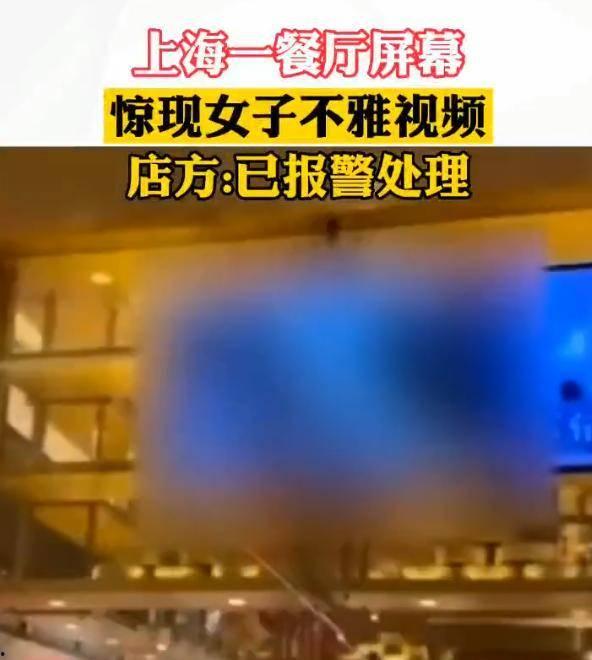 各大餐厅爆料视频播放大全,揭秘美食背后的秘密与故事  第1张